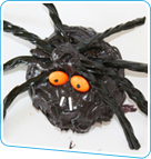 spider cake
